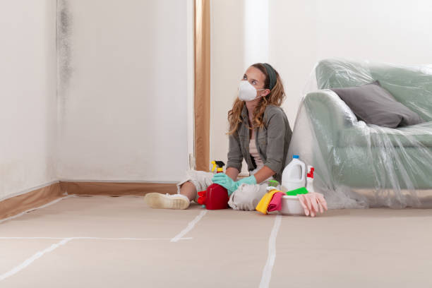 Reliable Black Mold Remediation contractor in Detroit, MI by 24 Hour Mold Removal
